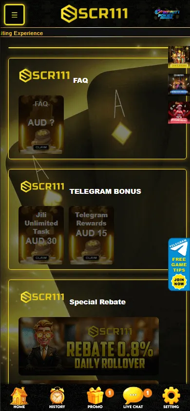 Scr111 Casino promotions area on a mobile device